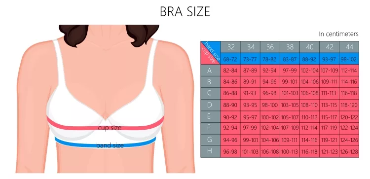 Inforphoto for Bra Sizes