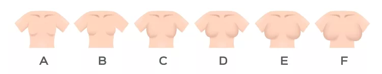 Bra sizes 